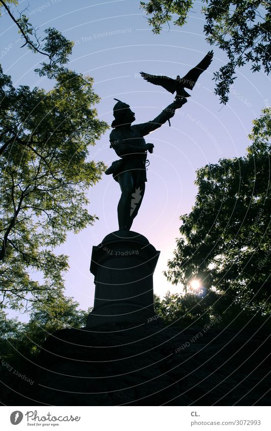the falconer Mann Erwachsene Kunstwerk Skulptur Himmel Wolkenloser Himmel Schönes Wetter Baum New York City Central Park USA Sehenswürdigkeit Vogel Flügel
