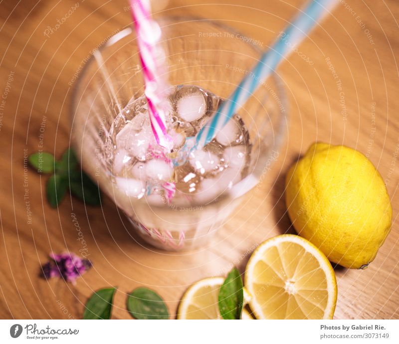 Selbstgemachter Eistee für den Sommer Lebensmittel Frucht Getränk trinken Erfrischungsgetränk Trinkwasser Saft Tee Zitrone Eiswürfel Minze Glas Trinkhalm