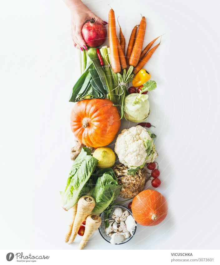 Frauenhand haltet Haufen des frischen organischen Saisongemüses Lebensmittel Gemüse Frucht Ernährung kaufen Design Gesundheit Gesunde Ernährung Erwachsene Hand