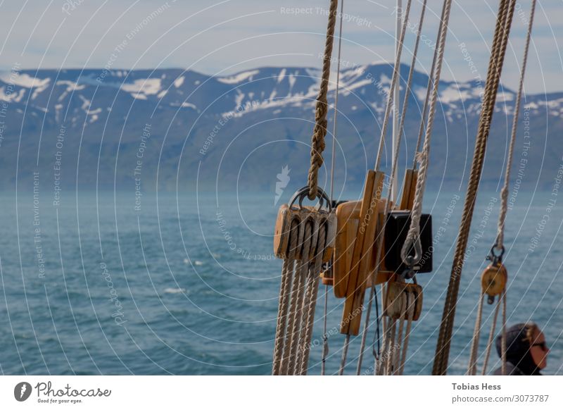 Húsavík Walbeobachtung Umwelt Natur Landschaft Urelemente Horizont Sommer Klimawandel Schnee Berge u. Gebirge Gipfel Schneebedeckte Gipfel Wellen Fjord Meer