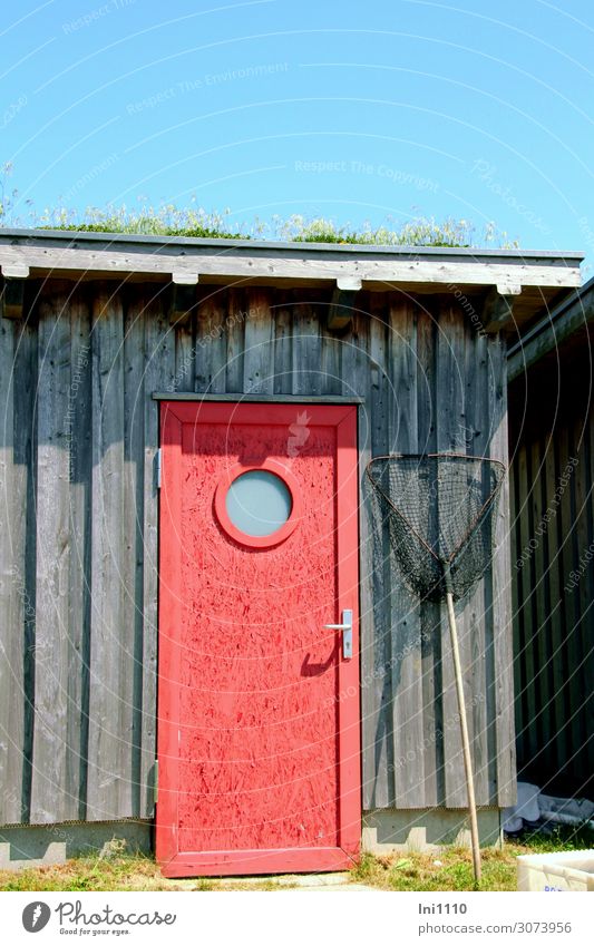 rote Tür Freizeit & Hobby Angeln Sommer Traumhaus Werkzeug Kescher Hütte Fassade Fenster blau grau weiß Lagerschuppen Runde Sache Holztür gestrichen Fischerdorf