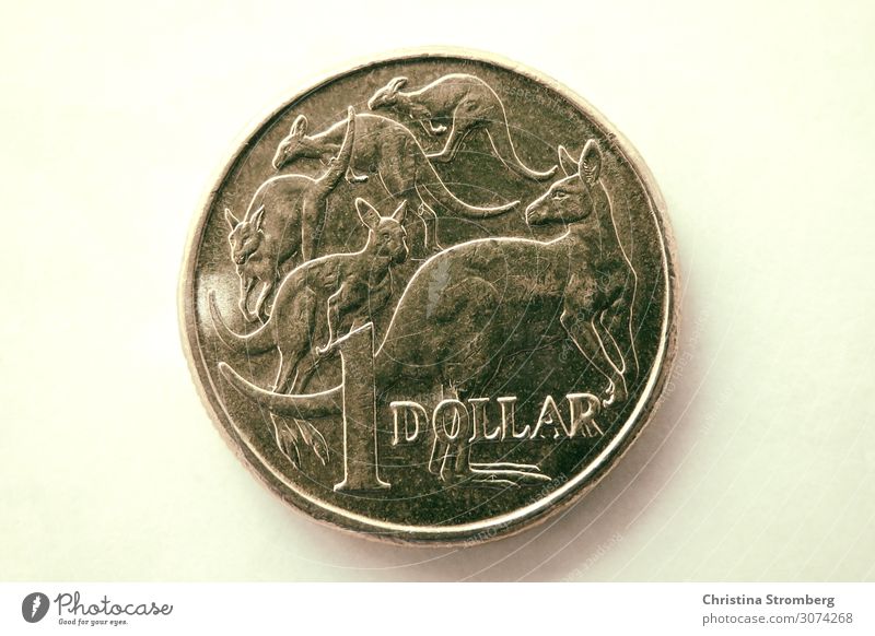 1 Australischer Dollar in Australien mit Kängurus Geld Tourismus Ferne Känguruh bezahlen kaufen Wert Geldmünzen Münzsammlung Money Nahaufnahme Down under Münze