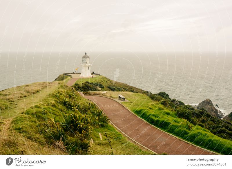 Cape Reinga - Erinnerungen an eine schöne Zeit Neuseeland cape reinga Cape Reinga Lighthouse Leuchtturm Nordinsel Wege & Pfade Ozean Kap northland