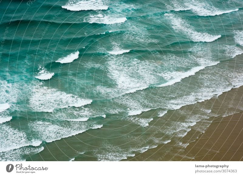 Meer erleben Neuseeland Wellen Ozean Küste Wasser Strand Natur Gischt Brandung Surfen abstrakt Muster Luftaufnahme