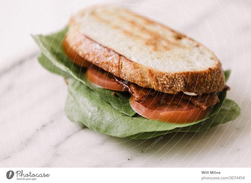 Specksalat Tomaten-Sandwich Salat Kopfsalat Belegtes Brot Mahlzeit Mittagessen grillen Lebensmittel Speise Foodfotografie Appetit & Hunger Marmor grün