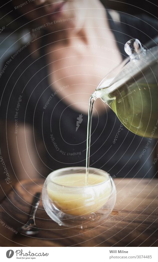 Frau gießt grünen Tee aus einem Wasserkocher. Junge Frau eingießen zugießen Becher Wasserkessel Glas Kaffee Café frei Blatt Flüssigkeit liquide Getränk trinken