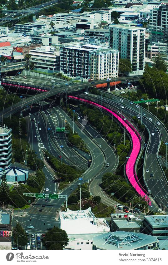 Rosa Geh- und Fahrradweg mitten in der Stadt Auckland, Neuseeland abstrakt Abenteuer Kunst schön Gebäude PKW Großstadt Stadtbild Konstruktion Haus neonfarbig