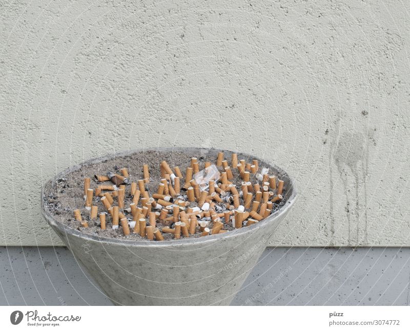 Kippen Gesundheit Gesundheitswesen Rauchen Rauschmittel Mauer Wand Fassade dreckig Ekel Krankheit grau ungesund Zigarette Zigarettenstummel Zigarettenasche