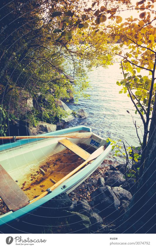 Plötzlich Herbst ruhig Ferien & Urlaub & Reisen Ausflug Umwelt Natur Landschaft Wasser Baum Seeufer Fischerboot Ruderboot Wasserfahrzeug Stein liegen alt