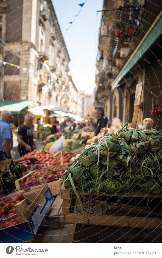 Marktstand Lebensmittel Gemüse Frucht Ernährung Mensch maskulin 3 Catania Italien Stadt Haus Gebäude kaufen Neugier Konkurrenz Mittelstand