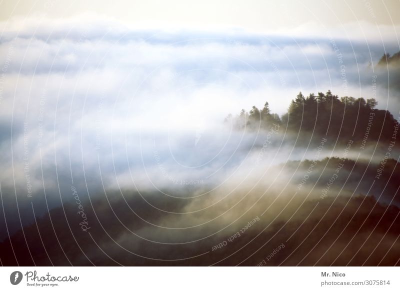 nebulöse | verschleierung Umwelt Natur Landschaft Wolken Klima Wetter Nebel Wald Hügel Berge u. Gebirge Gipfel träumen sanft Einsamkeit Nebelschleier