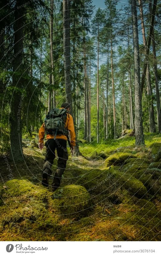 Gut zu Fuß Gesundheit Ferien & Urlaub & Reisen Ausflug Abenteuer Freiheit wandern Mensch Erwachsene 1 30-45 Jahre Umwelt Natur Landschaft Klima Moos Wald Felsen