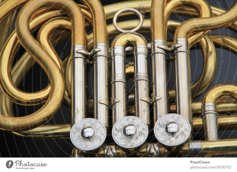 Musik liegt in der Luft Stil Design Entertainment Bildung Kunst Oper Orchester Metall Kommunizieren schön gold Freude Farbfoto Innenaufnahme Menschenleer