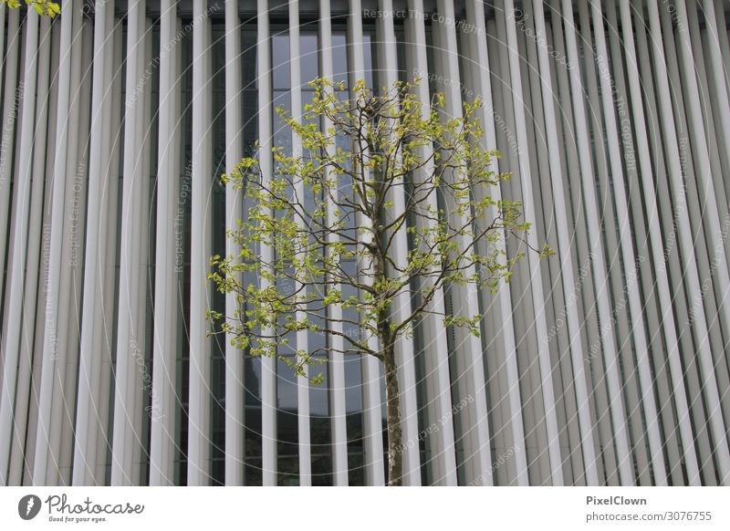 Natur trifft Großstadt Lifestyle Design Ferien & Urlaub & Reisen Städtereise Umwelt Tier Pflanze Baum Wildpflanze Blühend Wachstum verrückt schön grau grün