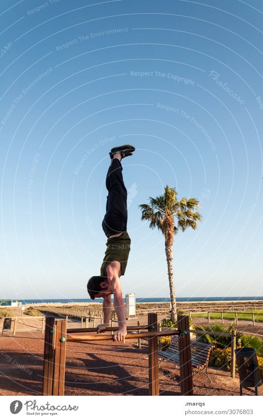 Handstand am Strand Akrobatik Turnen Sport Kraft sportlich Fitness Coolness akrobatisch Sportler Gleichgewicht Bewegung Turner Wolkenloser Himmel Palme Barren