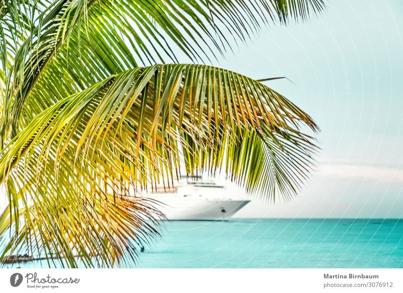 Palme und ein Kreuzfahrtschiff in der Karibik Reichtum exotisch schön Erholung Freizeit & Hobby Ferien & Urlaub & Reisen Tourismus Ausflug Sommer Meer Insel
