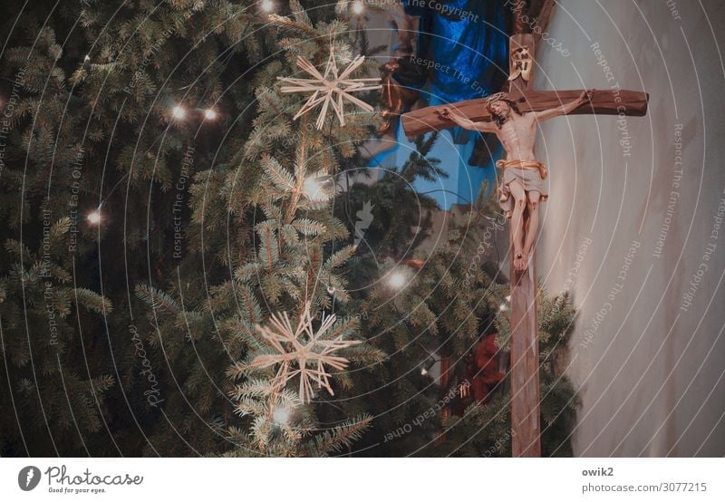 Hohe Feiertage Christliches Kreuz Kruzifix Jesus Christus Weihnachten & Advent Weihnachtsbaum Stern (Symbol) Holz Zeichen leuchten Hoffnung demütig