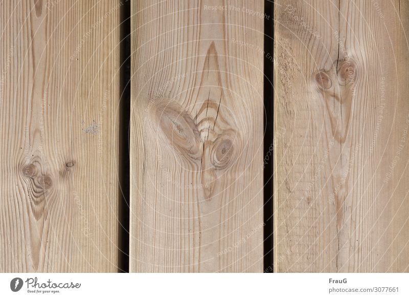 3 Holzgesichter Bretter Bohlen Äste Gesichter Maserung Strukturen & Formen Detailaufnahme Sandkörner Zwischenraum menschenleer
