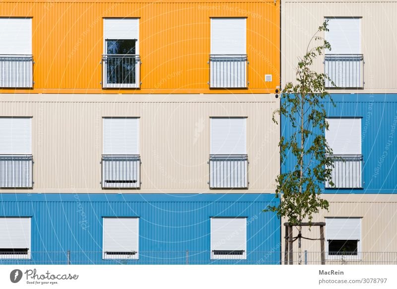 Wohncontainer Container Metall Häusliches Leben blau gelb Gefühle Einsamkeit Zukunftsangst Zusammenhalt Fenster Fassadenverkleidung mehrfarbig Menschenleer Baum