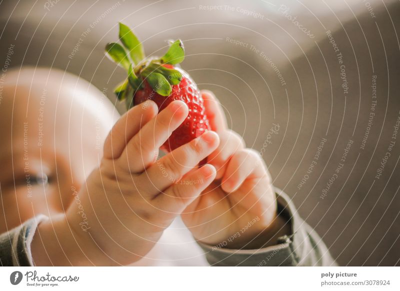 Baby hällt Erdbeere in der Hand hoch Lifestyle Freude Glück Körper Haut Kind Kindheit Leben Finger 0-12 Monate Umwelt Natur Frühling Sommer Klimawandel