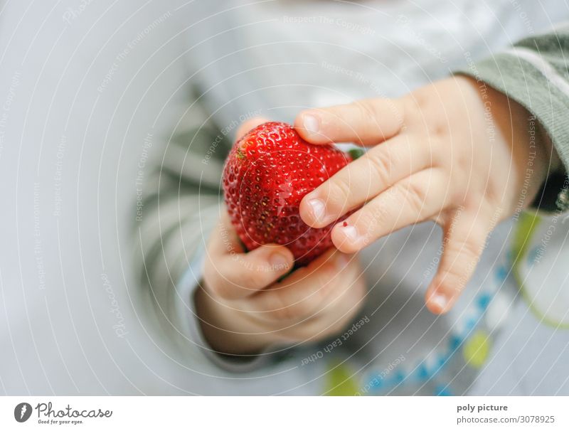 Baby hällt Erdbeere - Detail Lifestyle Gesundheit Gesunde Ernährung Leben Wohlgefühl Zufriedenheit Sommer Sommerurlaub Kind Kindheit Jugendliche Hand Finger