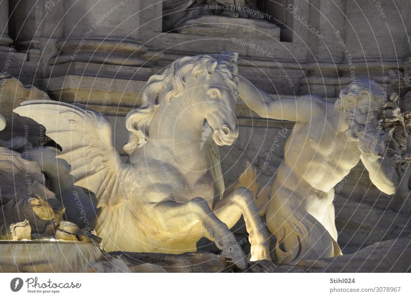 Fontana di Trevi Freude Sightseeing Städtereise Mensch maskulin Mann Erwachsene 1 45-60 Jahre Skulptur Rom Italien Platz Sehenswürdigkeit Denkmal Pferd Pegasus