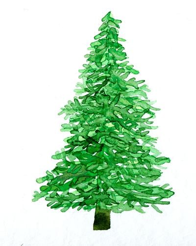 Weihnachtsbaum Aquarell Weihnachten & Advent Christbaum Kunst Kunstwerk Gemälde gemalt Wasserfarbe Pflanze Baum Tanne Tannenbaum ästhetisch grün weiß