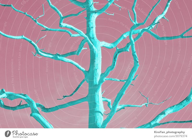 Toter Neo-Minzbaum im Duotone Pop-Art Stil auf Pink Design exotisch Sommer Tapete Kunst Natur Pflanze Baum Wüste hell trendy modern grün rosa Farbe Kreativität