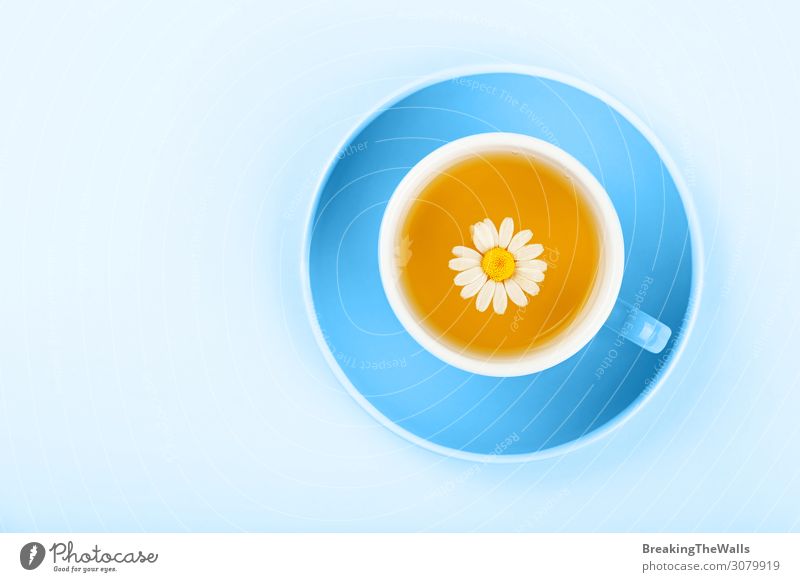 Blaue Tasse Kräutertee mit Kamille Getränk Heißgetränk Tee Becher Blume Papier natürlich oben blau gelb Farbe Oolong Untertasse Echte Kamille Hintergrund erhöht