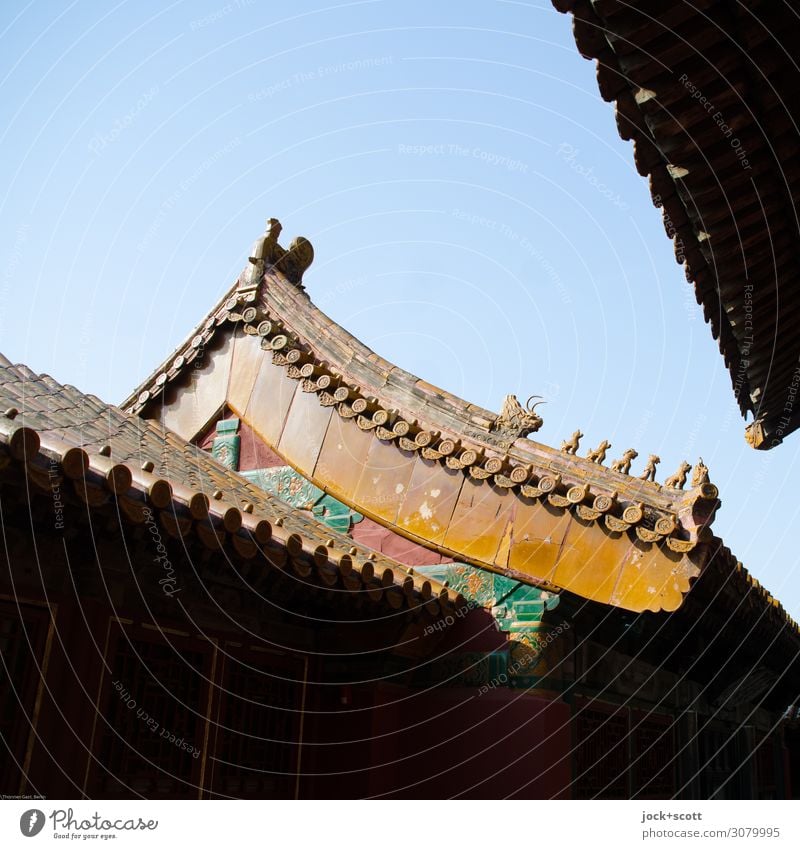 Drachen und Löwen Kunstwerk Weltkulturerbe Kunsthandwerk Chinesische Architektur Wolkenloser Himmel Palast Pagodendach Sehenswürdigkeit Verbotene Stadt