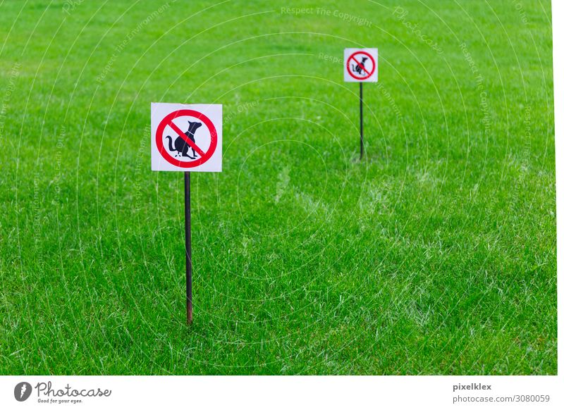 Hunde verboten! Sommer Garten Umwelt Natur Gras Park Wiese Menschenleer Haustier Schilder & Markierungen Hinweisschild Warnschild Stadt grün rot schwarz weiß