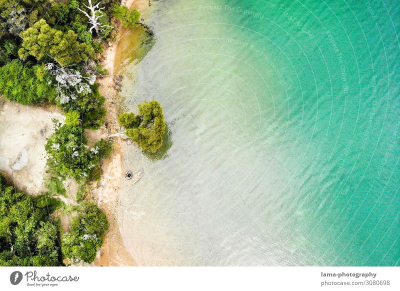 Küstenlinie Wasser Meer Drohnenansicht Neuseeland Natur Umweltschutz Sauberkeit Paradies Bäume Landschaft Ferien & Urlaub & Reisen Sommer Meereslandschaft