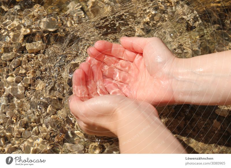 Lebenselixier Haut Hand Urelemente Wasser Bach beobachten Erholung Reinigen Flüssigkeit frisch kalt nass natürlich braun rosa Lebensfreude achtsam Reinheit