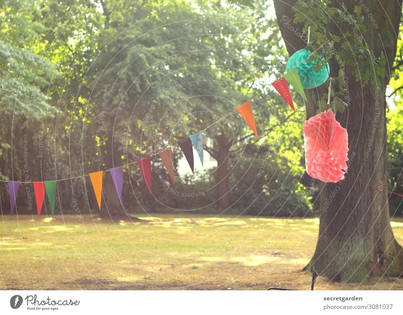 Girlande und Pompoms zum Geburtstag im Park Freude Party Veranstaltung Feste & Feiern Natur Sommer Schönes Wetter Baum Garten Wiese Wald Dekoration & Verzierung