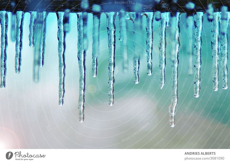 Winterwunder - Blaue Eiszapfen der Jahreszeit Umwelt Natur Urelemente Wasser Erde Klima Klimawandel Wetter Schönes Wetter Frost blau violett schwarz silber weiß