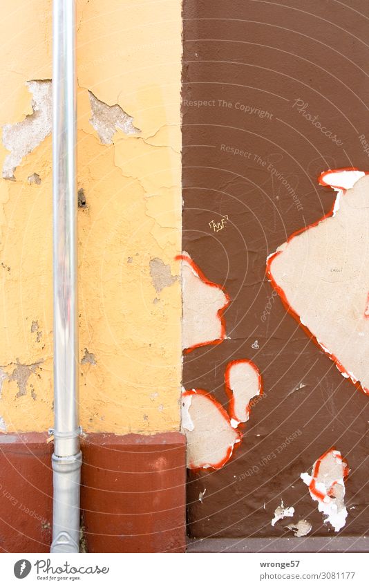 Fassadengestaltung Haus Mauer Wand dreckig trist Stadt braun gelb rot Altbau abblättern Altanstrich Ablösung Modernisierung Dachrinne Abflussrohr Regenrohr