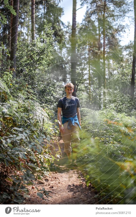 #A2# Nature Boy Umwelt Landschaft Pflanze Baum ästhetisch wandern Außenaufnahme Wald Sachsen Sächsische Schweiz Mann laufen Wege & Pfade Farbfoto