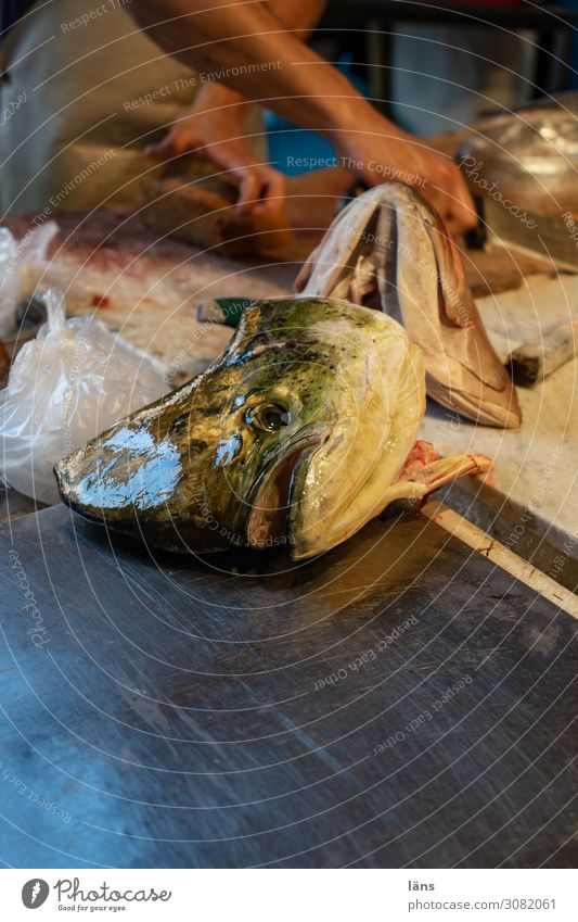 Fischverkauf Lebensmittel Ernährung Mensch 1 Insel Sizilien Italien kaufen Fischmarkt verkaufen Angebot Farbfoto Außenaufnahme Textfreiraum unten Tag