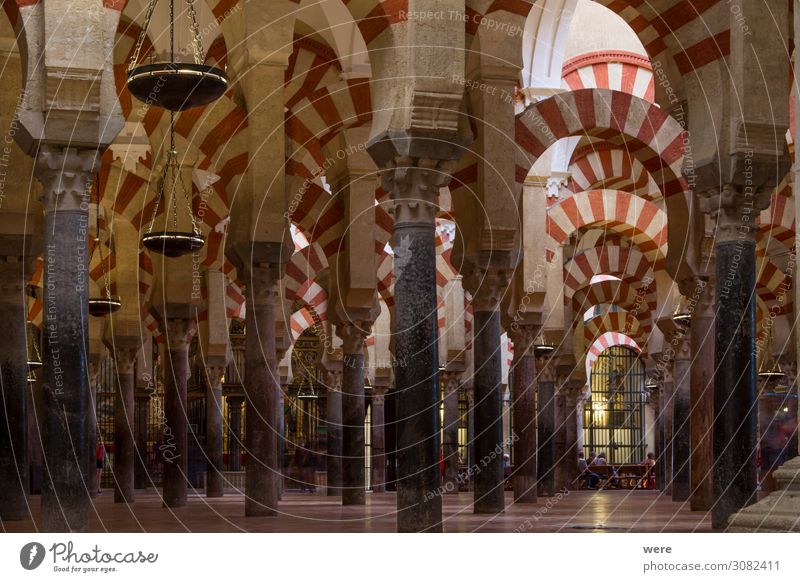 Columns in the World Heritage Mezquita in Cordoba Kirche Dom Palast Burg oder Schloss Religion & Glaube Andalusia Holiday Moshe Spain arabesque building