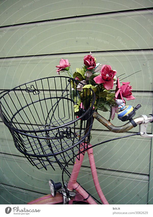 Rosa Fahrrad mit Blumen und Korb, an einer Holzwand. Mauer Wand Verkehr Verkehrsmittel Fahrradfahren Straße Freude Glück Fröhlichkeit Zufriedenheit Lebensfreude