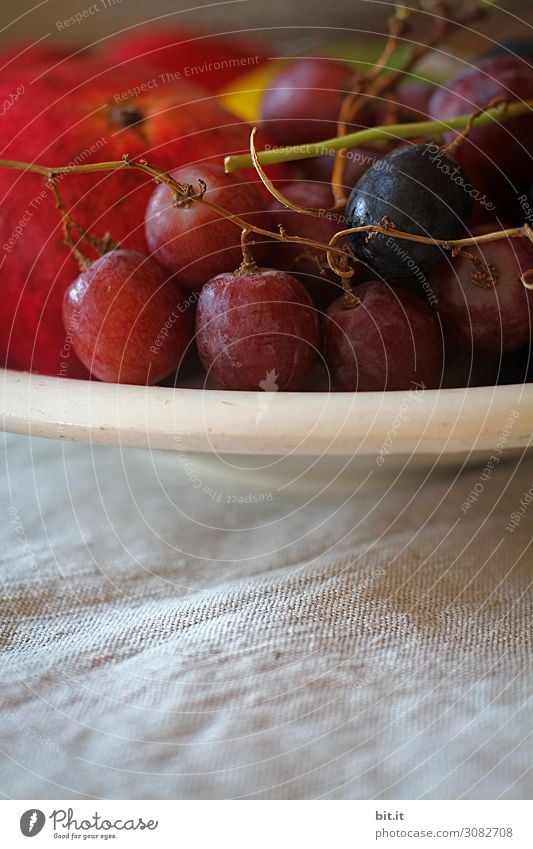 Trauben und Granatapfel in einer Obstschale Frucht Ernährung Frühstück Büffet Brunch Picknick Bioprodukte Vegetarische Ernährung Diät Fasten Gesundheit