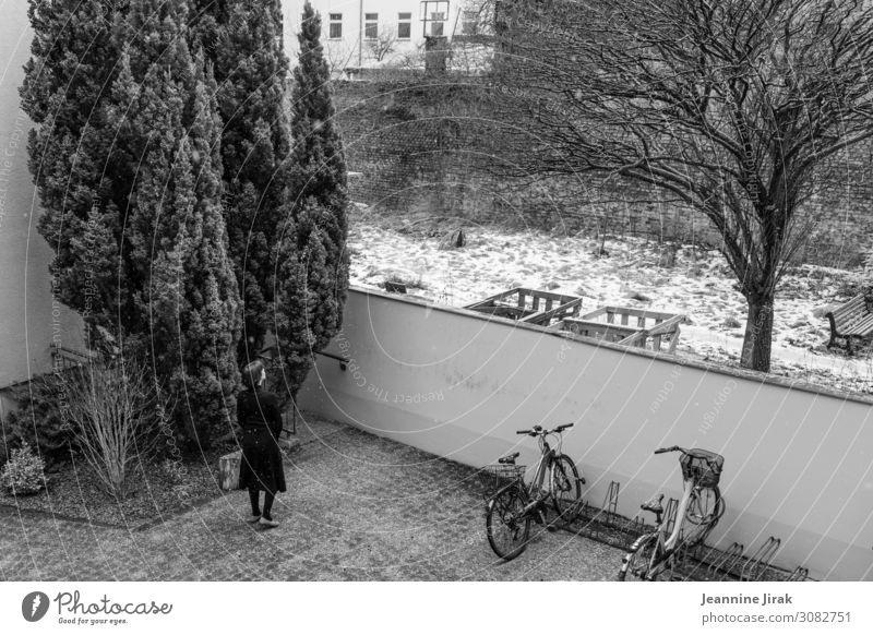 Frau im Hinterhof und Schnee Wohnung Umzug (Wohnungswechsel) 1 Mensch Winter Baum Fahrrad Sorge Trauer Zukunftsangst Angst Einsamkeit Schutz Trennung Stadt
