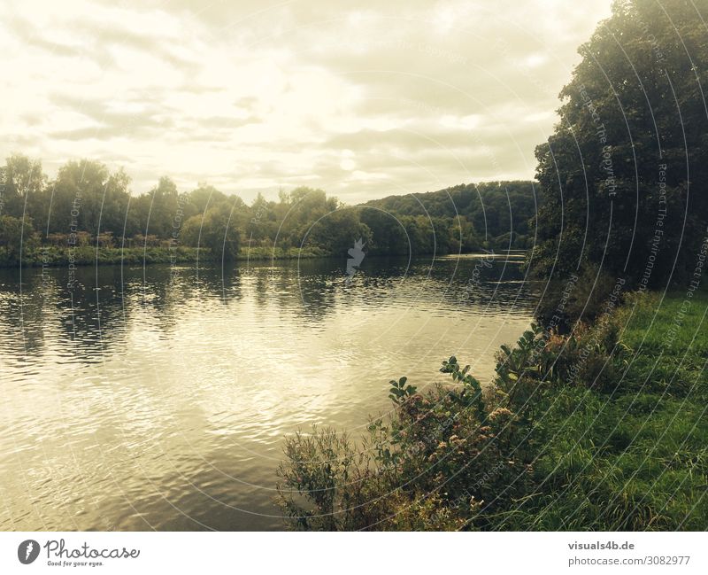 Fluss (die Ruhr) mit Reflexionen von Sträuchern Angeln Freiheit Camping Fahrradtour Sommer Sommerurlaub wandern Fahrradfahren Schwimmen & Baden Joggen Umwelt