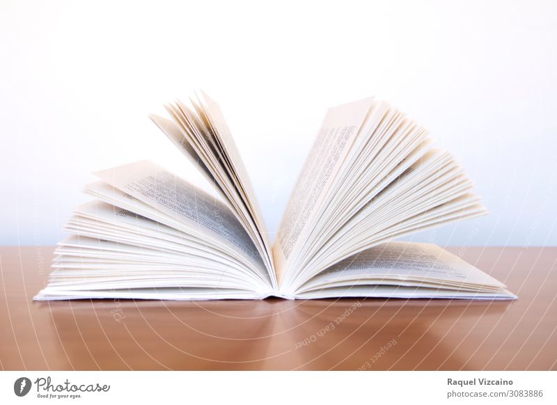 Ein offenes Buch lernen Bibliothek lesen Kommunizieren braun weiß Farbfoto Innenaufnahme Textfreiraum oben Kunstlicht Starke Tiefenschärfe
