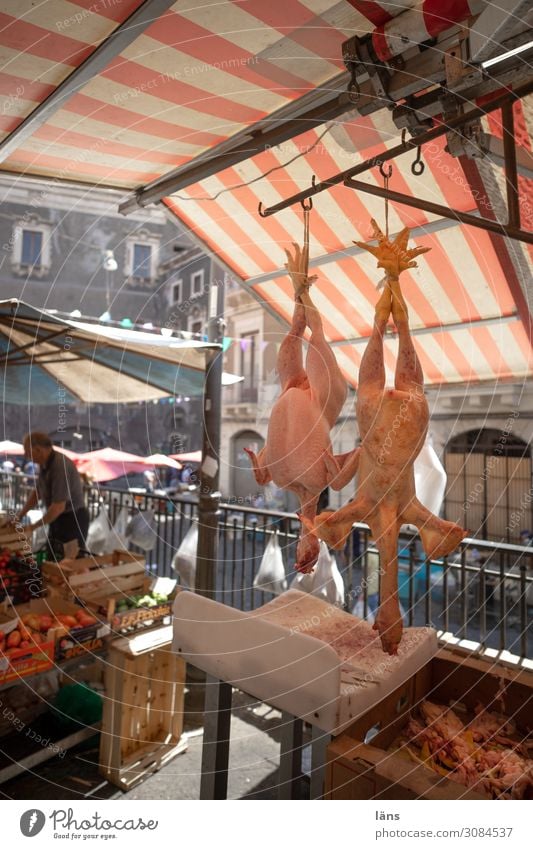 Kopfüber Marktstand Geflügel gerupft Italien Catania kopfvoran