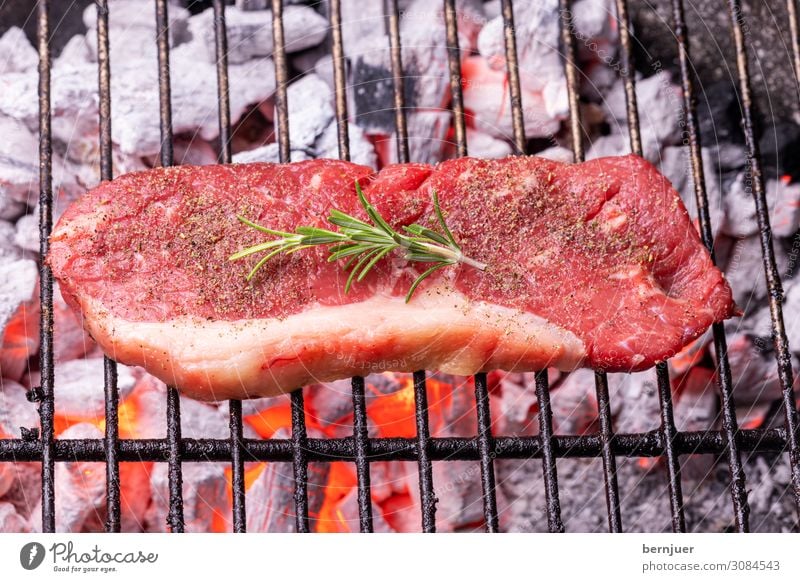 Steak auf dem Grill Fleisch Natur Wärme Holz Rost heiß rot schwarz Rindersteak Rindfleisch Rosmarin Holzkohle Feuerstelle Flamme grillen Grillrost Kohle Bbq