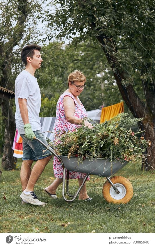 Enkelkinder helfen Großmutter in einem Hausgarten Lifestyle Glück Freizeit & Hobby Sommer Garten Kindererziehung Arbeit & Erwerbstätigkeit Gartenarbeit