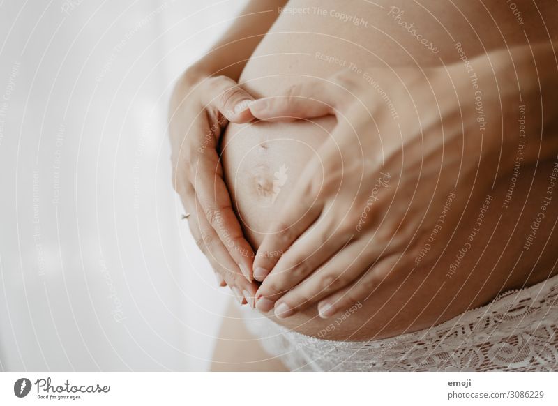 Schwangerschaft feminin Junge Frau Jugendliche Erwachsene Mutter 1 Mensch 18-30 Jahre Unterwäsche schwanger sinnlich weiß Farbfoto Gedeckte Farben Innenaufnahme