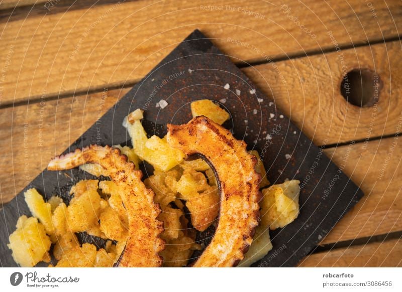 typisch spanische Tapa Meeresfrüchte Abendessen Teller Stil Gastronomie frisch Mahlzeit Essen zubereiten Galicia Octopus kulinarisch mediterran Spanisch Erdöl