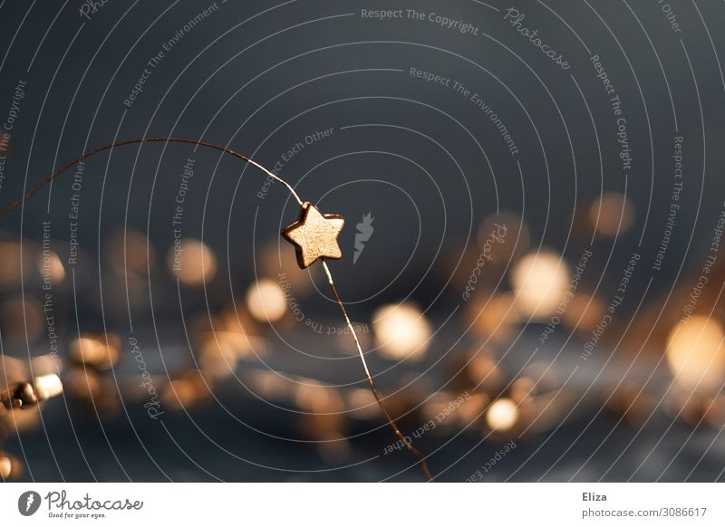 Sternenzauber Dekoration & Verzierung Weihnachten & Advent glänzend Kitsch Stern (Symbol) Weihnachtsdekoration Lichtpunkt scheinend gemütlich Lichtermeer